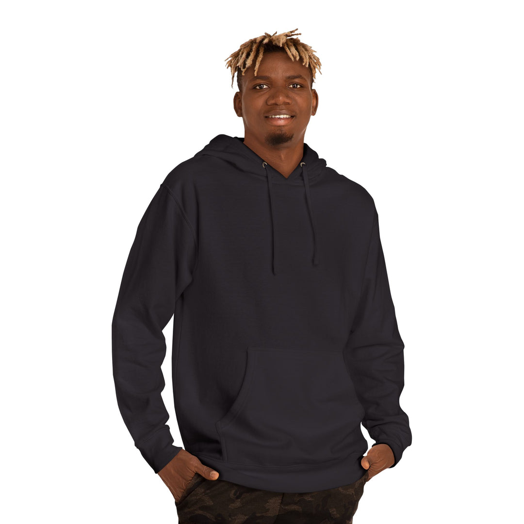 Cats for Democracy – Unisex Pullover Hoodie