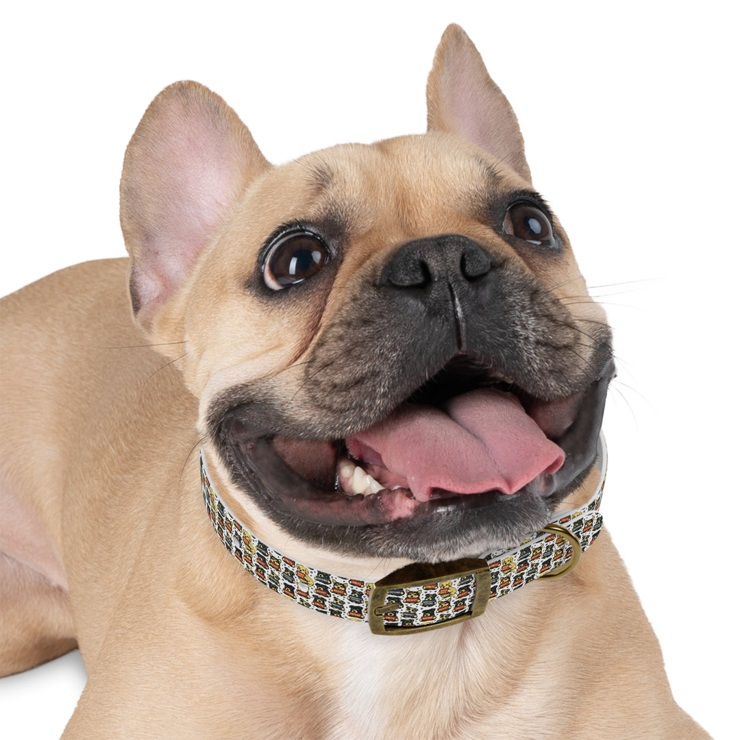The Pawsistance – Pet Collar (Buckle)