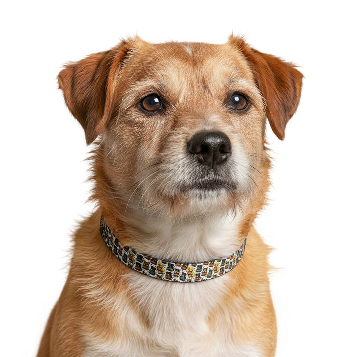 The Pawsistance – Pet Collar (Clip-on)